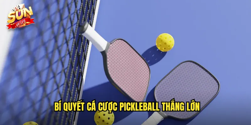 Cá Cược Pickleball Sunwin SH - Môn Thể Thao Kết Hợp Độc Đáo 3 Bí Quyết Cá Cược Pickleball Thắng Lớn